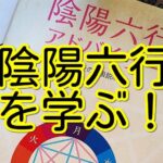 陰陽六行を学びたい！占いを仕事にしたい！【陰陽六行を学ぶ】