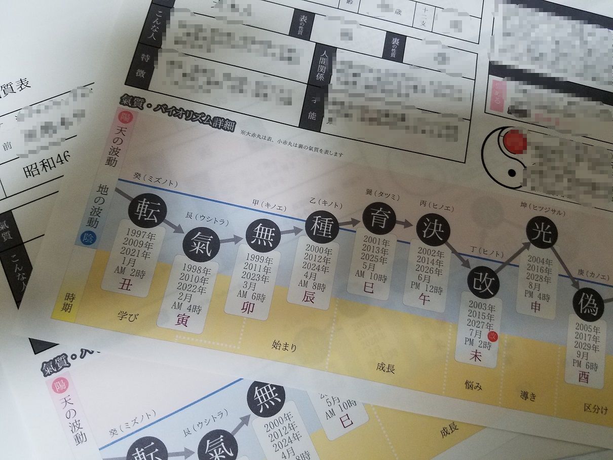 陰陽六行氣質表